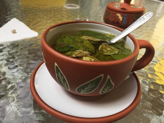 Altitude Sickness: Prevention and Treatment, and the Importance of Coca Leaf Tea: